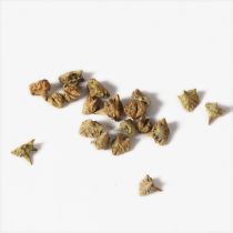炒蒺藜【1kg/袋】