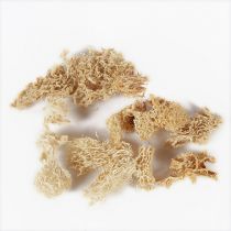 炒丝瓜络【1kg/袋】