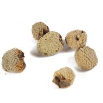 覆盆子【1kg/袋】