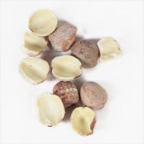 莲子【1kg/袋】