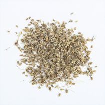 南鹤虱【1kg/袋】