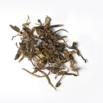 筋骨草【1kg/袋】