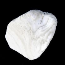 炒海螵蛸【1kg/袋】
