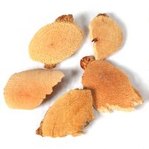 藤梨根【1kg/袋】